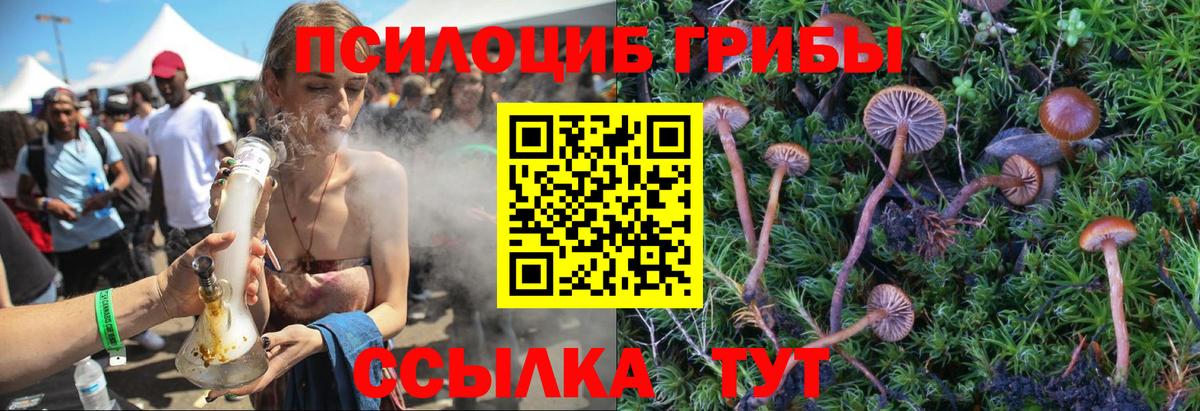 Галлюциногенные грибы Psilocybe  Вход с VPN  Брянск 