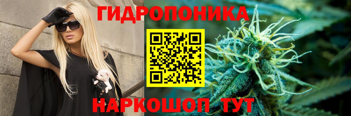 Канабис OG Kush Брянск